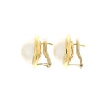 AULECOR013715_2