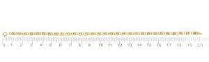 AUCOBR0015291_5