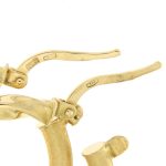 AUCOCOR015549_3