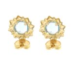 AUCOCOR016832_3