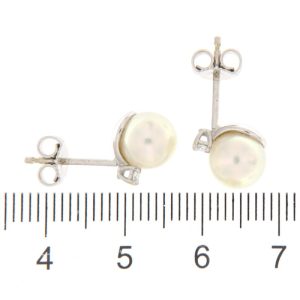 AUCACOR003220_5