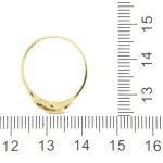 AUD2AN0013407_9