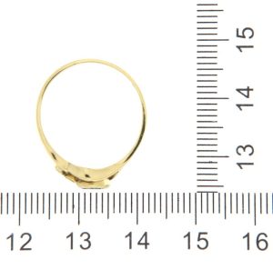 AUD2AN0013407_9