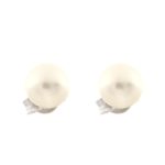 AUCOCOR017632_0