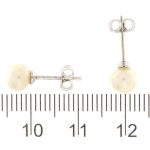 AUCOCOR017632_5