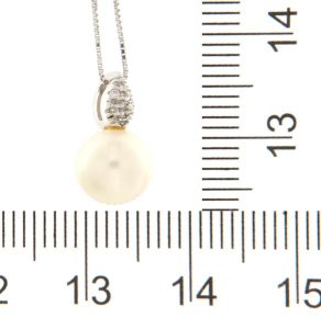 AUMCCOL021107_9